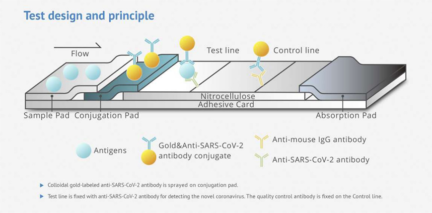 SARS-COV-2 Antigen Test Kit(LFIA) 20PCSBOX1
